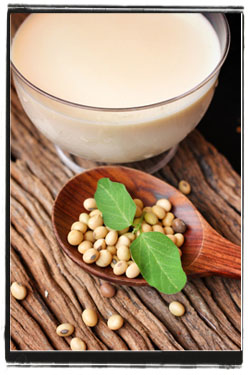 Cup of soy milk and spoonful of soy beans