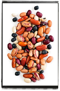 All About Legumes