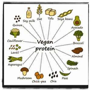 Where do vegans get their protein? | Vegan Nook