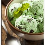 Mint Chocolate Chip Ice Cream