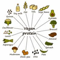Where do vegans get their protein?