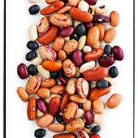 All About Legumes