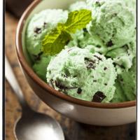 Mint Chocolate Chip Ice Cream